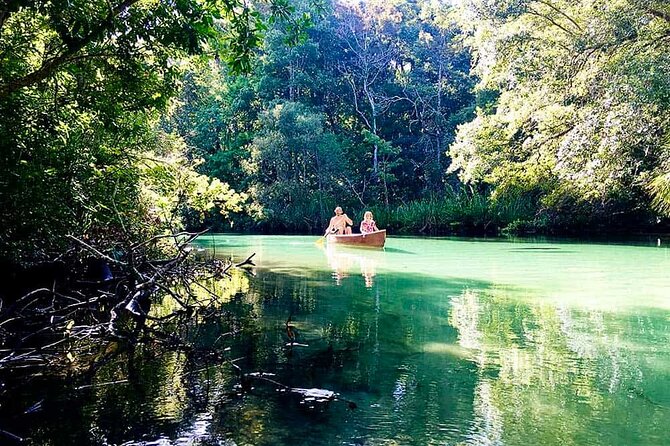 Weeki Wachee kayaking