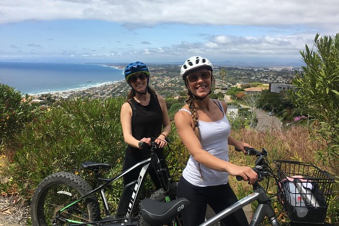 Best Full-Day Tours In La Jolla
