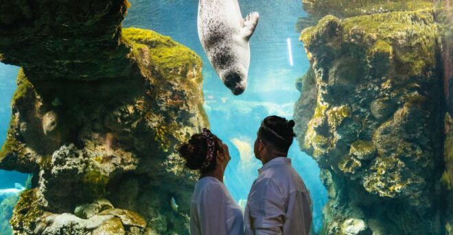 Genoa: Aquarium of Genoa Timeslot Entry Ticket - Select Participants and Date